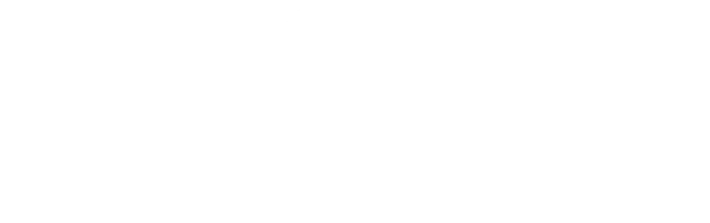SX3